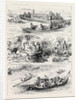 Henley Regatta: Sketches on the River 1880 by Anonymous