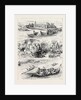 Henley Regatta: Sketches on the River 1880 by Anonymous