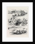 Henley Regatta: Sketches on the River 1880 by Anonymous