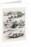 Henley Regatta: Sketches on the River 1880 by Anonymous