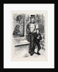 At the Zoological Society's Gardens in London: The Monkeys 1880 by Anonymous