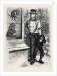At the Zoological Society's Gardens in London: The Monkeys 1880 by Anonymous