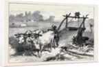 The Famine in Bengal: Indian Mode of Irrigation 1874 by Anonymous