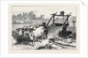 The Famine in Bengal: Indian Mode of Irrigation 1874 by Anonymous
