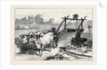 The Famine in Bengal: Indian Mode of Irrigation 1874 by Anonymous