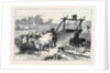 The Famine in Bengal: Indian Mode of Irrigation 1874 by Anonymous