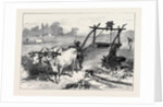 The Famine in Bengal: Indian Mode of Irrigation 1874 by Anonymous