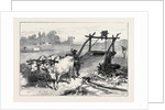 The Famine in Bengal: Indian Mode of Irrigation 1874 by Anonymous