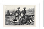 The Famine in Bengal: Indian Mode of Irrigation 1874 by Anonymous