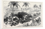The Ashantee War: The Water Supply of Cape Coast Castle 1874 by Anonymous