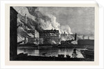 Burning of Messrs. A. And P. Tod's Flour Mills Leith 1874 by Anonymous