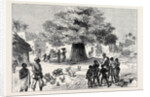 The Ashantee War: Fetish Tree in a Village Near Cape Coast Castle 1874 by Anonymous