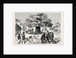 The Ashantee War: Fetish Tree in a Village Near Cape Coast Castle 1874 by Anonymous