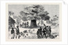 The Ashantee War: Fetish Tree in a Village Near Cape Coast Castle 1874 by Anonymous