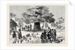 The Ashantee War: Fetish Tree in a Village Near Cape Coast Castle 1874 by Anonymous