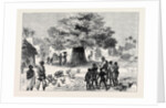 The Ashantee War: Fetish Tree in a Village Near Cape Coast Castle 1874 by Anonymous