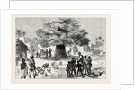 The Ashantee War: Fetish Tree in a Village Near Cape Coast Castle 1874 by Anonymous