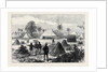 The Ashantee War: Captain Glover's Headquarters at Addah 1874 by Anonymous
