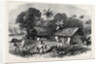 The Famine in India: A Bengal Village 1874 by Anonymous