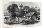 The Famine in India: A Bengal Village 1874 by Anonymous