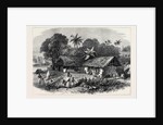 The Famine in India: A Bengal Village 1874 by Anonymous