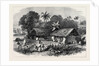The Famine in India: A Bengal Village 1874 by Anonymous