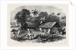 The Famine in India: A Bengal Village 1874 by Anonymous