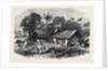 The Famine in India: A Bengal Village 1874 by Anonymous