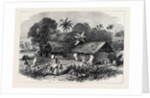 The Famine in India: A Bengal Village 1874 by Anonymous