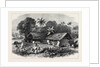 The Famine in India: A Bengal Village 1874 by Anonymous