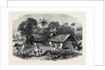 The Famine in India: A Bengal Village 1874 by Anonymous
