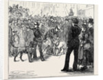 Metropolitan Boroughs Election: Whig and Tory London 1874 by Anonymous