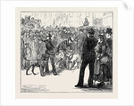 Metropolitan Boroughs Election: Whig and Tory London 1874 by Anonymous