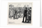 Metropolitan Boroughs Election: Whig and Tory London 1874 by Anonymous