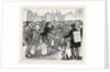 Metropolitan Boroughs Election: Woman's Rights London 1874 by Anonymous