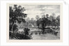 The Ashantee War: The Camp at Prah-Su Native Artillery Crossing the River 1874 by Anonymous