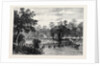 The Ashantee War: The Camp at Prah-Su Native Artillery Crossing the River 1874 by Anonymous