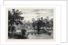The Ashantee War: The Camp at Prah-Su Native Artillery Crossing the River 1874 by Anonymous