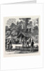 The Ashantee War: Newspaper Correspondents' Quarters in the Camp at Prah-Su 1874 by Anonymous