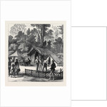 The Ashantee War: Newspaper Correspondents' Quarters in the Camp at Prah-Su 1874 by Anonymous