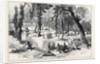 The Ashantee War: Moinsie at the Base of the Adansi Hills 1874 by Anonymous