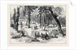 The Ashantee War: Moinsie at the Base of the Adansi Hills 1874 by Anonymous