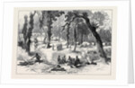 The Ashantee War: Moinsie at the Base of the Adansi Hills 1874 by Anonymous