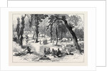 The Ashantee War: Moinsie at the Base of the Adansi Hills 1874 by Anonymous