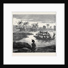 Crossing the Sweet River Near Elmina 1874 by Anonymous
