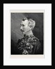 Major-General Sir Garnet Joseph Wolseley K.C.M.G. C.B. 1874 by Anonymous