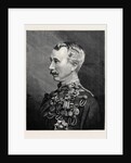 Major-General Sir Garnet Joseph Wolseley K.C.M.G. C.B. 1874 by Anonymous
