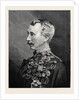 Major-General Sir Garnet Joseph Wolseley K.C.M.G. C.B. 1874 by Anonymous