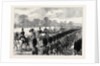 Review at Windsor of Troops from the Ashantee War 1874 by Anonymous