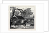 The Ashantee War: Fall of a Tree in Camp 1874 by Anonymous